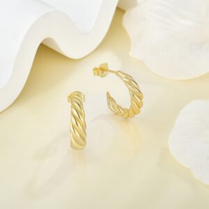 Gold-Plated-Rope-Hoop-Ear-Studs.jpg