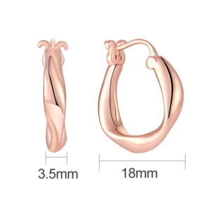 Twisted-Irregular-Hoop-Earrings-Size.jpg