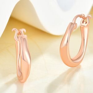 Rose-Gold-Plated-Twisted-Irregular-Hoop-Earrings.jpg