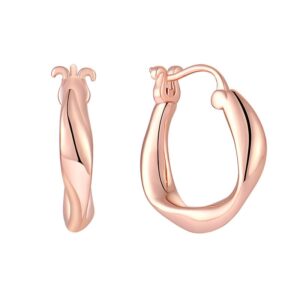 Twisted-Irregular-Hoop-Earrings.jpg